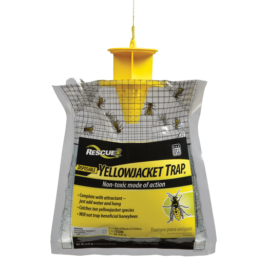 The Best Yellow Jacket Traps for 2021 - Reviewed · KILL THE WASPS